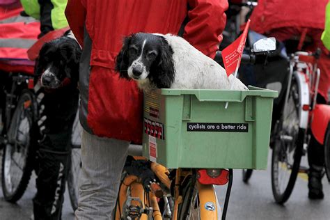 bike protest london|10,000 pedal for action in biggest bike protest